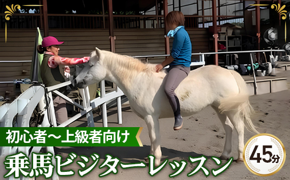 No.378 【シエナ乗馬クラブ】乗馬ビジターレッスン