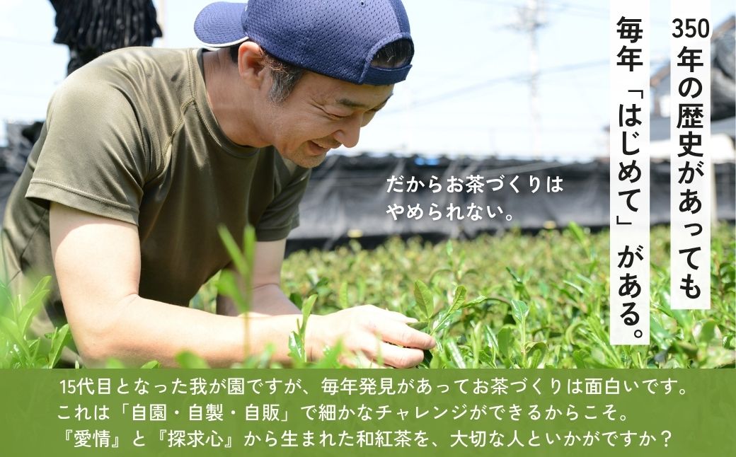 和紅茶 3種×2袋 あんず紅茶 アールグレイ 狭山紅茶 | 和紅茶 紅茶 ティーバッグ 狭山茶 お茶 茶 ティー tea 国産 あんず アールグレイ ギフト プレゼント 贈り物 贈答 奥富園 埼玉県 狭山市