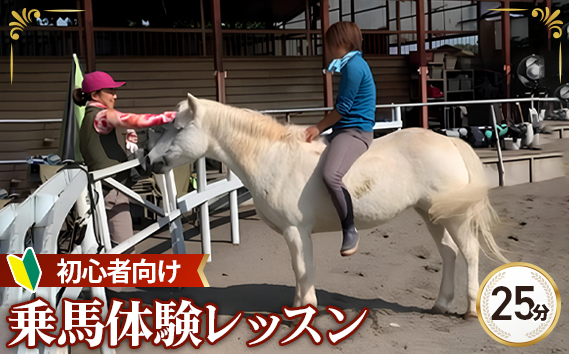 No.377 【シエナ乗馬クラブ】乗馬体験レッスン