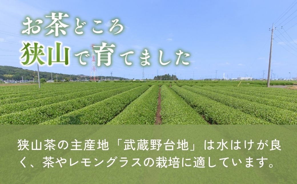 ããŒããã£ãŒ çå±±ã®ã¬ã¢ã³ã°ã©ã¹è¶ ïŒè¢ã»ãã | ããŒããã£ãŒ ãè¶ çŽ
è¶ ãã£ãŒããã° ãã£ãŒãã㯠ã¬ã¢ã³ã°ã©ã¹ ããŒã ãªã©ãã¯ã¹ ã¬ã¢ã³ã°ã©ã¹ããããã®ããŒãå·¥æ¿ åŒçç çå±±åž