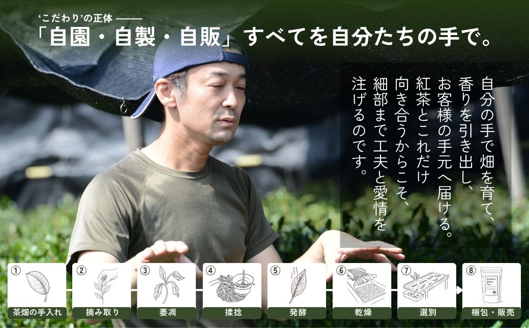 和紅茶 3種×2袋 あんず紅茶 アールグレイ 狭山紅茶 | 和紅茶 紅茶 ティーバッグ 狭山茶 お茶 茶 ティー tea 国産 あんず アールグレイ ギフト プレゼント 贈り物 贈答 奥富園 埼玉県 狭山市