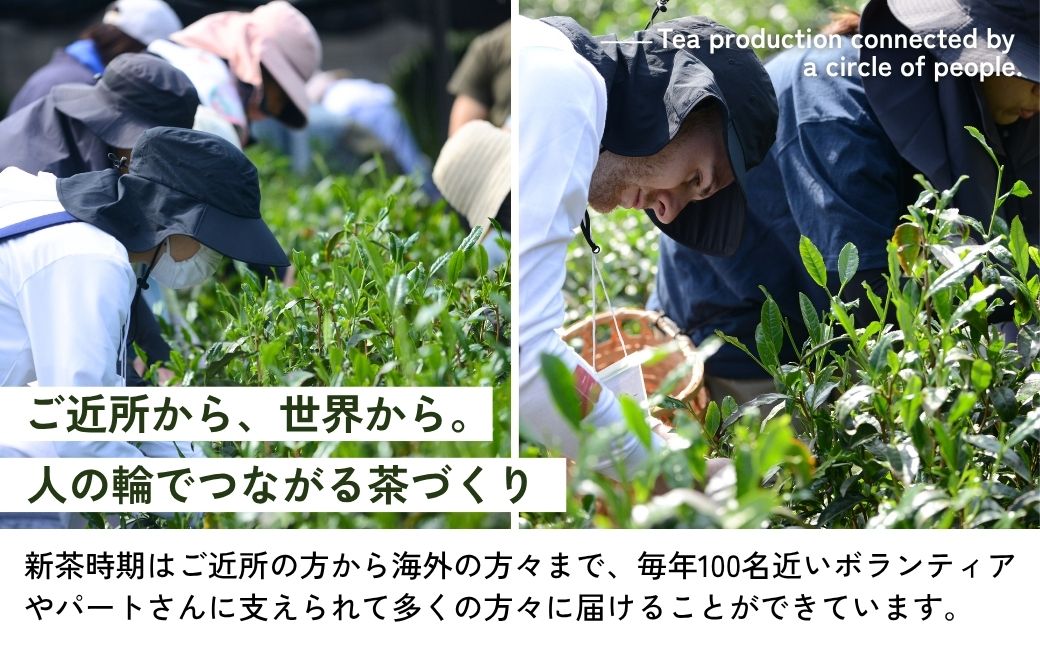 和紅茶 3種×2袋 あんず紅茶 アールグレイ 狭山紅茶 | 和紅茶 紅茶 ティーバッグ 狭山茶 お茶 茶 ティー tea 国産 あんず アールグレイ ギフト プレゼント 贈り物 贈答 奥富園 埼玉県 狭山市