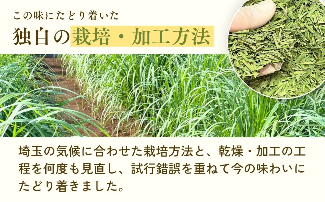 ããŒããã£ãŒ çå±±ã®ã¬ã¢ã³ã°ã©ã¹è¶ ïŒè¢ã»ãã | ããŒããã£ãŒ ãè¶ çŽ
è¶ ãã£ãŒããã° ãã£ãŒãã㯠ã¬ã¢ã³ã°ã©ã¹ ããŒã ãªã©ãã¯ã¹ ã¬ã¢ã³ã°ã©ã¹ããããã®ããŒãå·¥æ¿ åŒçç çå±±åž