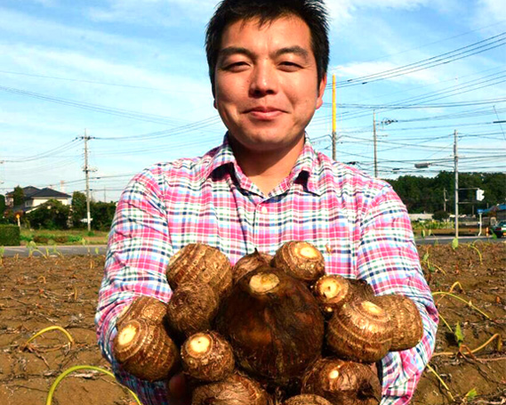 No.252 狭山市産　厳選　さといも約10kg