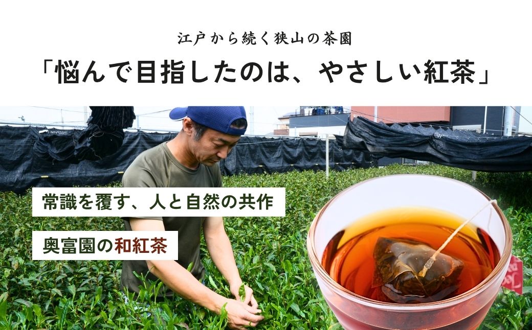 和紅茶 3種×2袋 あんず紅茶 アールグレイ 狭山紅茶 | 和紅茶 紅茶 ティーバッグ 狭山茶 お茶 茶 ティー tea 国産 あんず アールグレイ ギフト プレゼント 贈り物 贈答 奥富園 埼玉県 狭山市