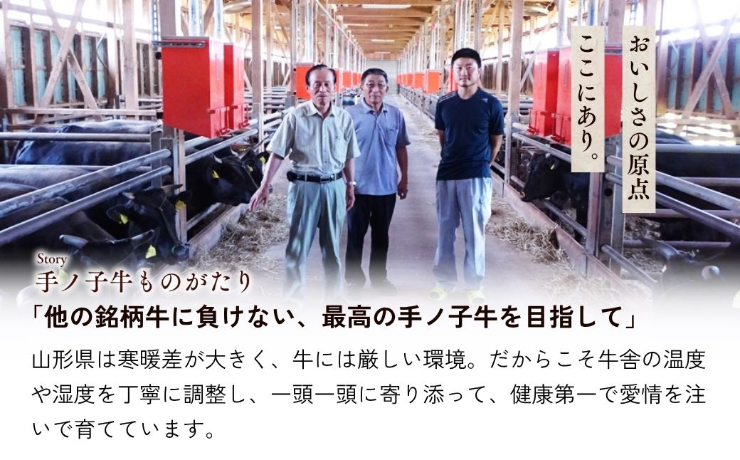 山形県産 手ノ子牛 ローストビーフ 400g ソース付き | ブランド牛 牛肉 モモ肉 赤身 赤身肉 真空調理 柔らか 岩塩 ブラックペッパー 牛肉 株式会社セントラルフーズ 埼玉県 狭山市