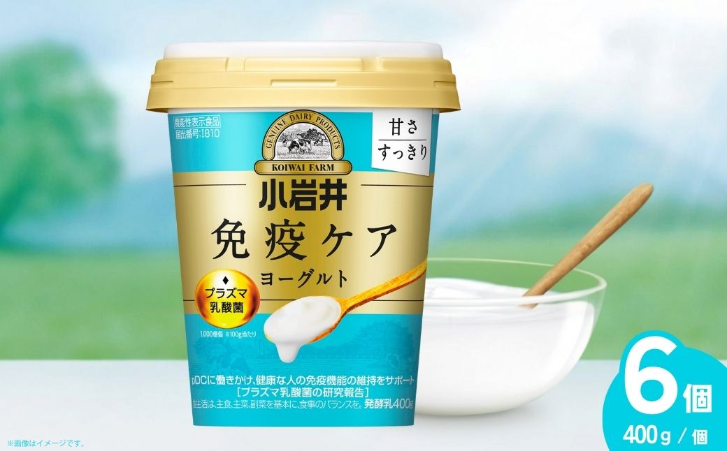 小岩井乳業 免疫ケアヨーグルト甘さすっきり 400g×6個 | ヨーグルト 乳製品 発酵食品 機能性表示食品 プラズマ乳酸菌 免疫 免疫維持 埼玉県 狭山市