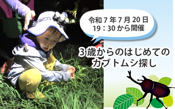 No.357 【令和7年7月20日19：30から開催】3歳からのはじめてのカブトムシ探し