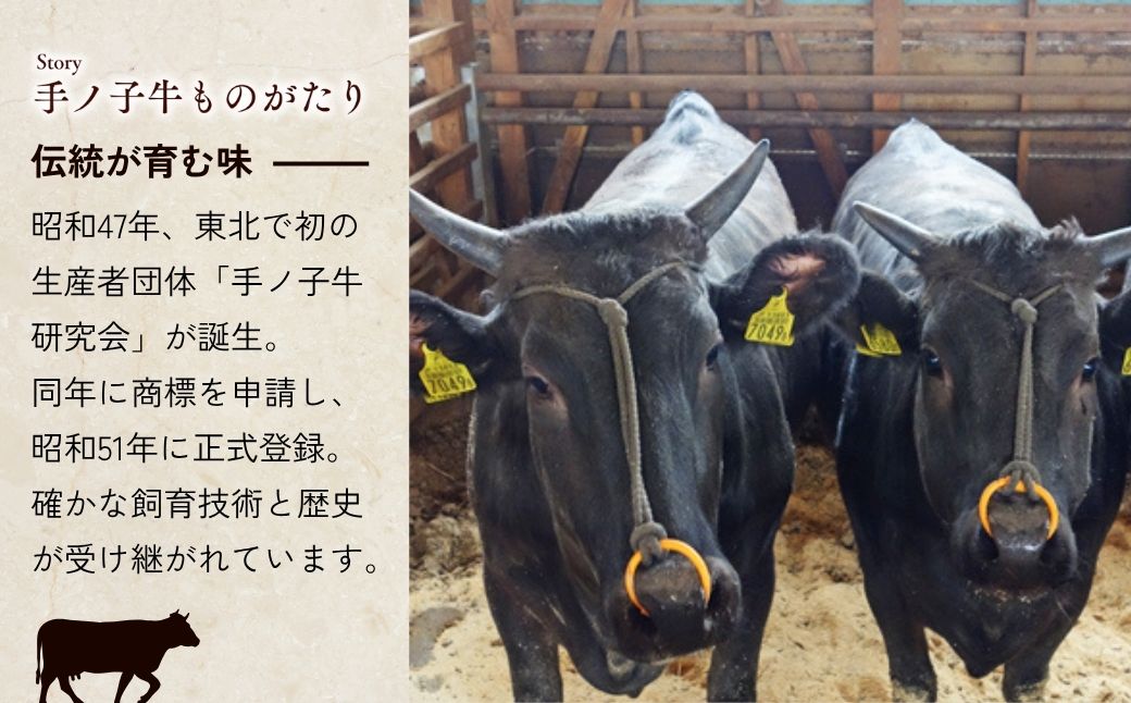 山形県産 手ノ子牛 ローストビーフ 400g ソース付き | ブランド牛 牛肉 モモ肉 赤身 赤身肉 真空調理 柔らか 岩塩 ブラックペッパー 牛肉 株式会社セントラルフーズ 埼玉県 狭山市