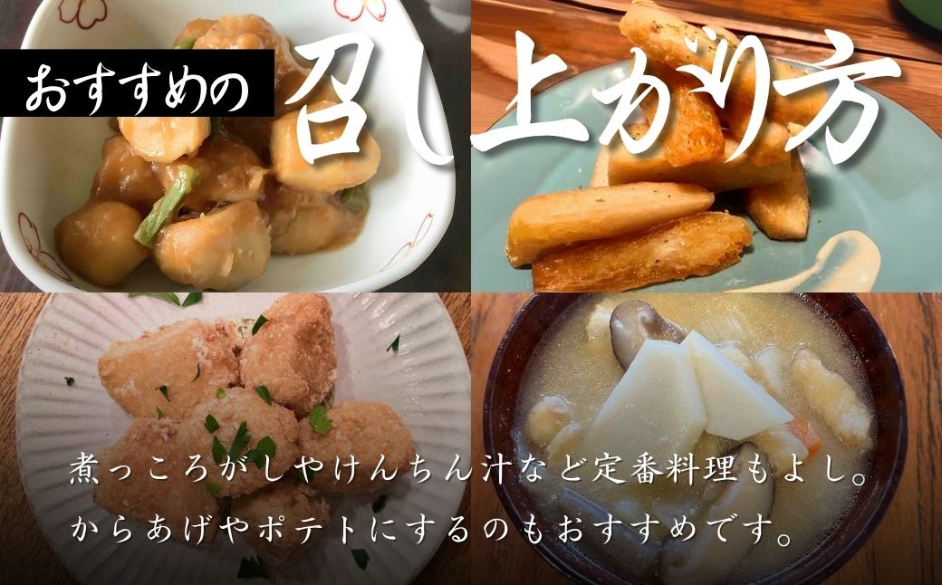 里芋 狭山市で採れた土付き里芋「土垂」 約10kg | 里芋 里いも サトイモ 芋 いも イモ 野菜 やさい 根菜 農産物 新鮮 ねっとり もっちり もちもち やわらか 産地直送 農家直送 数量限定 国産 煮っころがし 人気 おすすめ さやま里芋増産倶楽部 埼玉県 狭山市