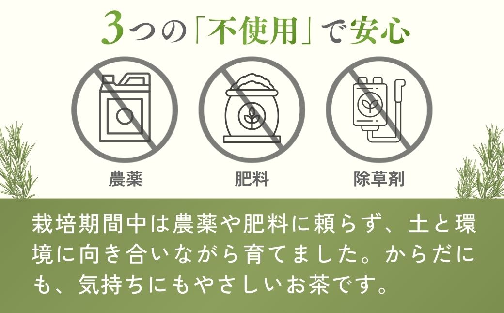 ããŒããã£ãŒ çå±±ã®ã¬ã¢ã³ã°ã©ã¹è¶ ïŒè¢ã»ãã | ããŒããã£ãŒ ãè¶ çŽ
è¶ ãã£ãŒããã° ãã£ãŒãã㯠ã¬ã¢ã³ã°ã©ã¹ ããŒã ãªã©ãã¯ã¹ ã¬ã¢ã³ã°ã©ã¹ããããã®ããŒãå·¥æ¿ åŒçç çå±±åž