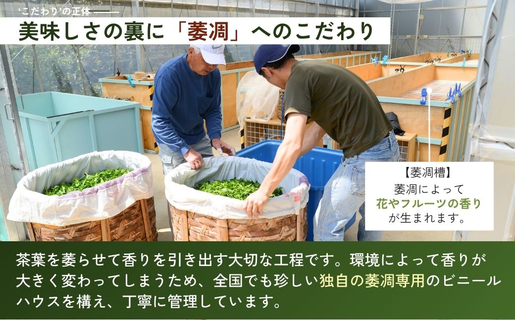 和紅茶 3種×2袋 あんず紅茶 アールグレイ 狭山紅茶 | 和紅茶 紅茶 ティーバッグ 狭山茶 お茶 茶 ティー tea 国産 あんず アールグレイ ギフト プレゼント 贈り物 贈答 奥富園 埼玉県 狭山市