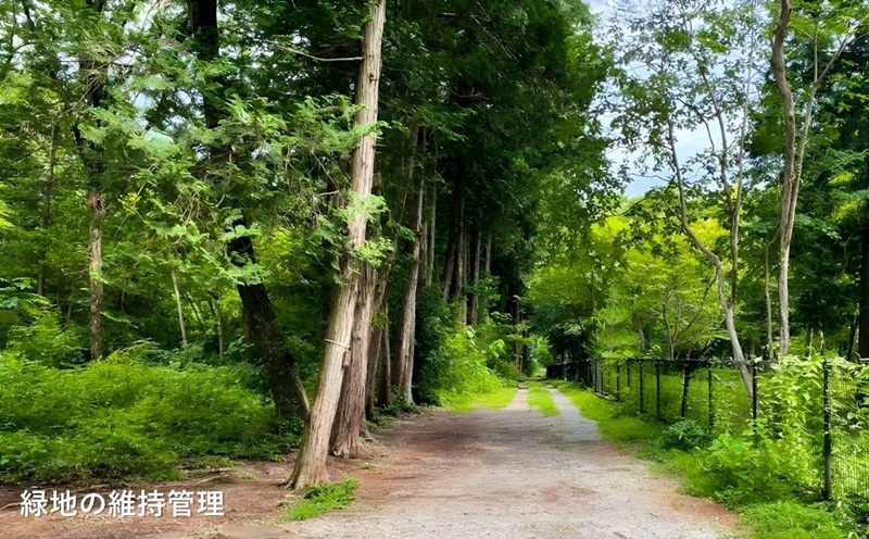 邱大慍縺ョ蜿門セ励サ菫晏ィ縺ョ縺溘a