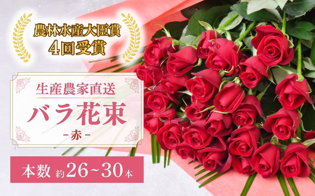 ＜配送エリア限定・着日指定必須＞ 生産農家直送 バラ花束 新鮮 赤 約26〜30本 | バラ 花束 薔薇 ローズ 植物 インテリア 誕生日 記念日 お祝い 母の日 父の日 ラッピング有り リボン付き 多品種 Mix花束 切り花 農林水産大臣賞 生花 プレゼント ギフト 埼玉県 上尾市