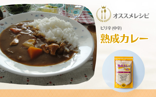 熟成カレー 4袋セット（中辛） | カレー カレールー カレールゥ カリー 熟成カレー カレー粉 フレーク ごはん 白米 スパイス ハーブ 本格カレー スパイシー 伝統 自然食品 美味しい 保存用 サラダ インドカレー スパイス王国 井上スパイス 埼玉県 上尾市