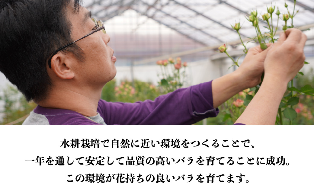 ＜配送エリア限定・着日指定必須＞ 生産農家直送 バラ 花束 新鮮 Mix 約11～13本 | 埼玉県 上尾市 バラ 薔薇 ローズ 花束 植物 インテリア 誕生日 記念日 お祝い 母の日 父の日 ラッピング有り リボン付き 多品種 Mix花束 切り花 農林水産大臣賞 生花 プレゼント ギフト 