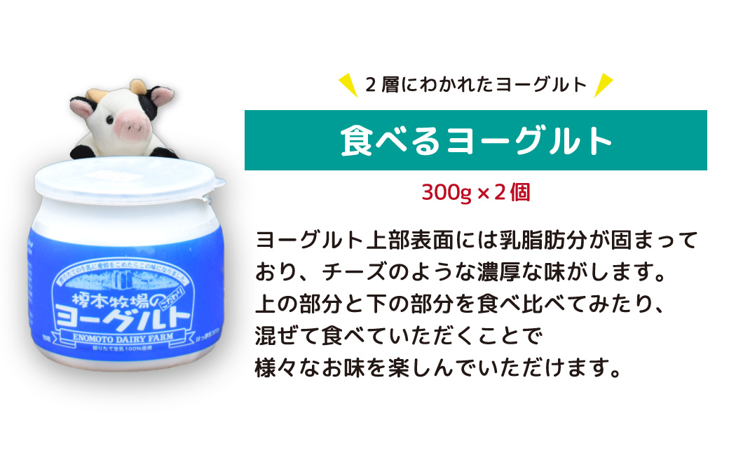 榎本牧場のこだわりヨーグルト 3種5点セット | 埼玉県 上尾市 飲むヨーグルト 食べるヨーグルト 乳製品 生乳100% おやつ 朝食 ヨーグルトセット 乳製品セット ヘルシー デザート スイーツ ギフト 国産 新鮮 無添加 搾りたて こだわり生乳 健康