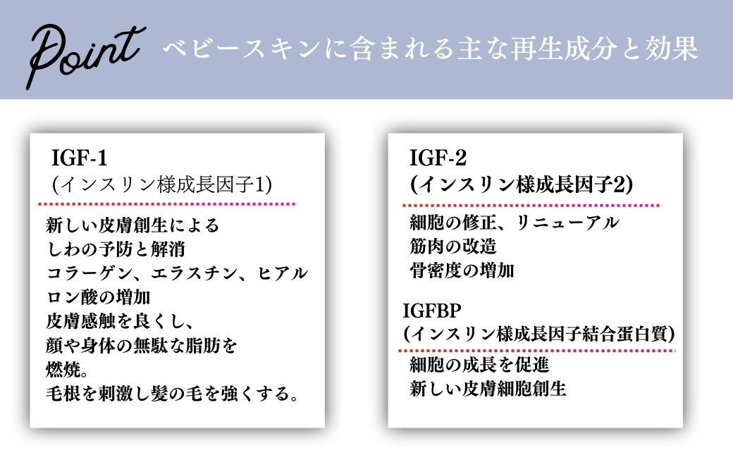 SBC ベビースキン パーフェクトリジェネレーション美容液 20ml | 埼玉県 上尾市 SBC 湘南美容 湘南美容クリニック 美容液