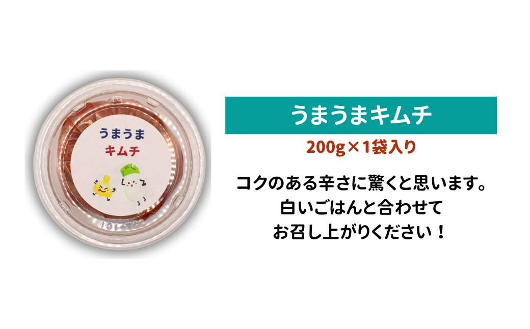 3種のキムチとキムチのたれ詰め合わせセット | 埼玉県 上尾市 キムチ きむち キムチのたれ タレ 辛い 健康志向 無農薬野菜 無添加 甘口 辛口 漬物 おかず 白米 きゅうり 豆腐 お鍋 鍋 キムチ鍋 調味料 香辛料 おいしい 美味しい 激辛 旨辛 キムチチャーハン 限定品 白菜 唐辛子 魚醤 アミの塩辛 有明産 韓国産唐辛子 野菜 レシピ 