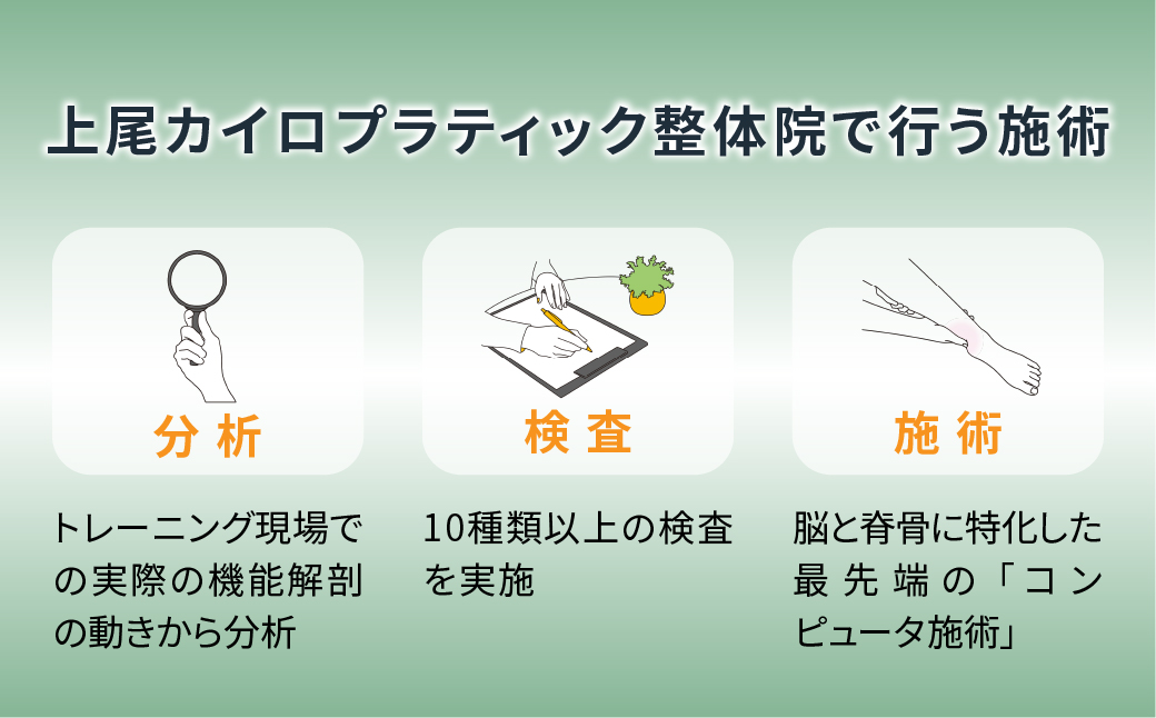 カイロプラティック施術30分 【FINE LAB FIT】 | カイロプラクティック 骨格 バランス バランス メンテナス ご褒美 リフレッシュ 整える 埼玉県 上尾市