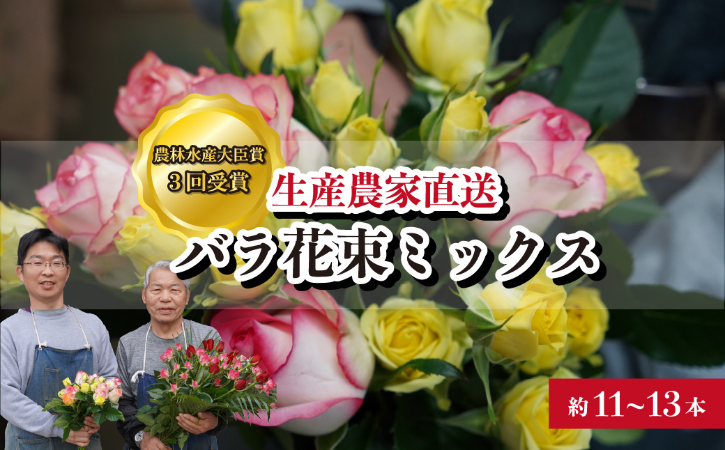 ＜配送エリア限定・着日指定必須＞ 生産農家直送 バラ 花束 新鮮 Mix 約11～13本 | 埼玉県 上尾市 バラ 薔薇 ローズ 花束 植物 インテリア 誕生日 記念日 お祝い 母の日 父の日 ラッピング有り リボン付き 多品種 Mix花束 切り花 農林水産大臣賞 生花 プレゼント ギフト 