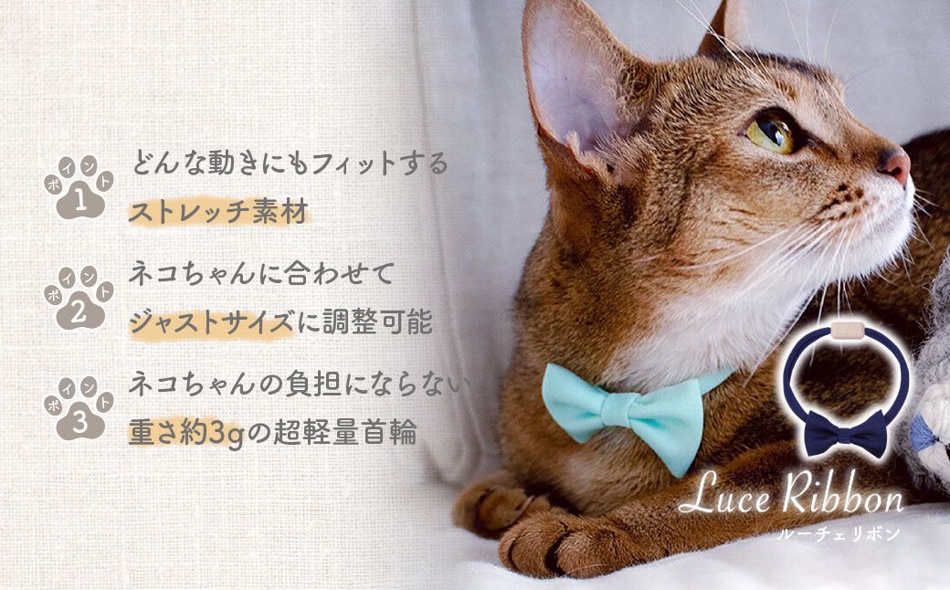 necono -Luce Ribbon- ルーチェリボン【Royal Blue】| 猫の首輪 ねこの首輪 ペット用品 ペットグッズ  おしゃれ リボン ねこ用首輪 猫用品 ネコ ねこ ねこちゃん 手作り ハンドメイド 手作り 埼玉県 上尾市