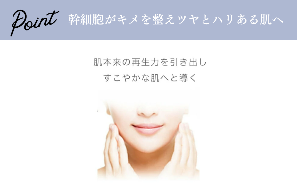 【3ヶ月定期便】SBC MEDISPA ステムマスク 5枚 | 埼玉県 上尾市 SBC 湘南美容 湘南美容クリニック フェイスマスク マスク