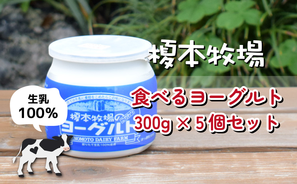 榎本牧場の食べるヨーグルト300g×5個セット | 埼玉県 上尾市 食べるヨーグルト 乳製品 生乳100% おやつ 朝食 ヨーグルトセット 乳製品セット ヘルシー デザート スイーツ ギフト 国産 新鮮 無添加 搾りたて こだわり生乳 健康