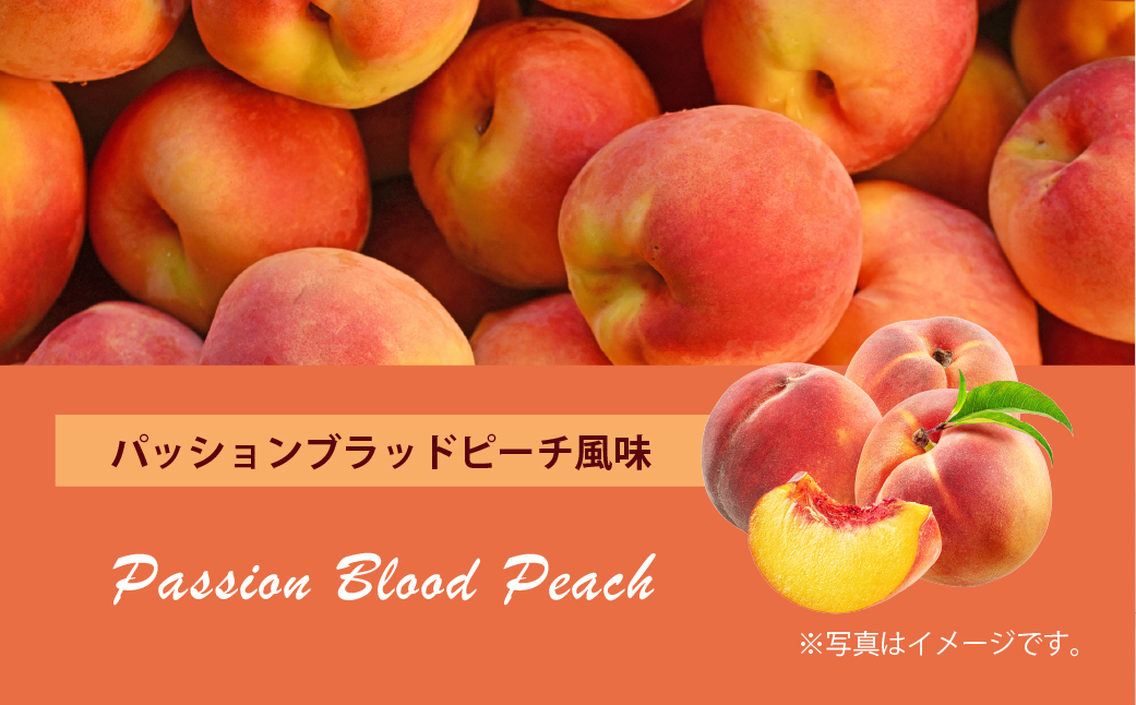 ファイン・ラボ ファイナルエナジーVITARGO® 1kg パッションブラッドピーチ風味 | ヴィターゴ　炭水化物　糖質 カーボパウダー エネルギー補給　埼玉県 上尾市 [