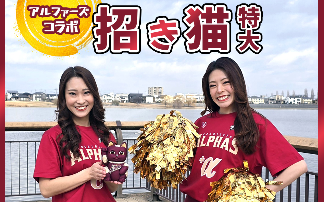 æšç®èŸŒäººåœ¢ïŒæãç«ã»ç¹å€§ ã¢ã«ãã¡ãŒãºïŒ ïŒ ãŸãããã ç« é£Ÿãç© äººåœ¢ çœ®ç© ã¡ããã äŒçµ±å·¥èž çžèµ· ééæçŠ åå®¢äžæ¥ å売ç¹ç éé ã€ã³ããªã¢ ãã¬ãŒã³ã é貚 å¯æã æ¿æ²Œæ±å
ã¯ãŒã«ãžã£ãã³ The Wonder 500 åŒçç No.267