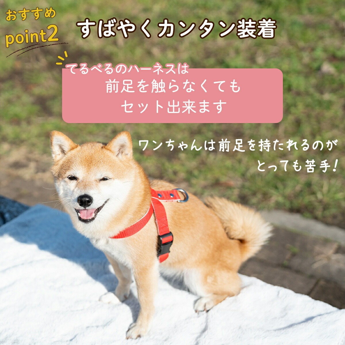 ããŒãã¹ æãã«ãã å«ãããªã ç°¡åè£
ç çè±ãããã 調æŽå¯èœ 34â100g ïŒ ç¬çš èŽèŒª ãæ£æ© å®å¿èšèš æããªã è±ããªã å€ããªã ã¯ã³ã¿ãã ç°¡åè£
ç ãããã°ã㺠ãããçšå ãããã 坿ã ãã¬ãŒã³ã èŽãç© ãŠãã¹ã åŒçç No.317