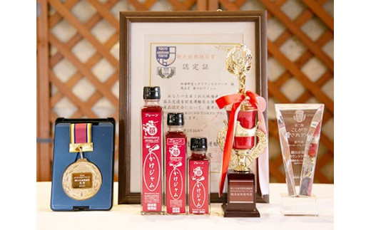 プレミアムかけジャム中びん10本セット ／ フルーツ 手づくり サラサラ かけるジャム 農福商連帯 エシカル消費 埼玉県 No.037