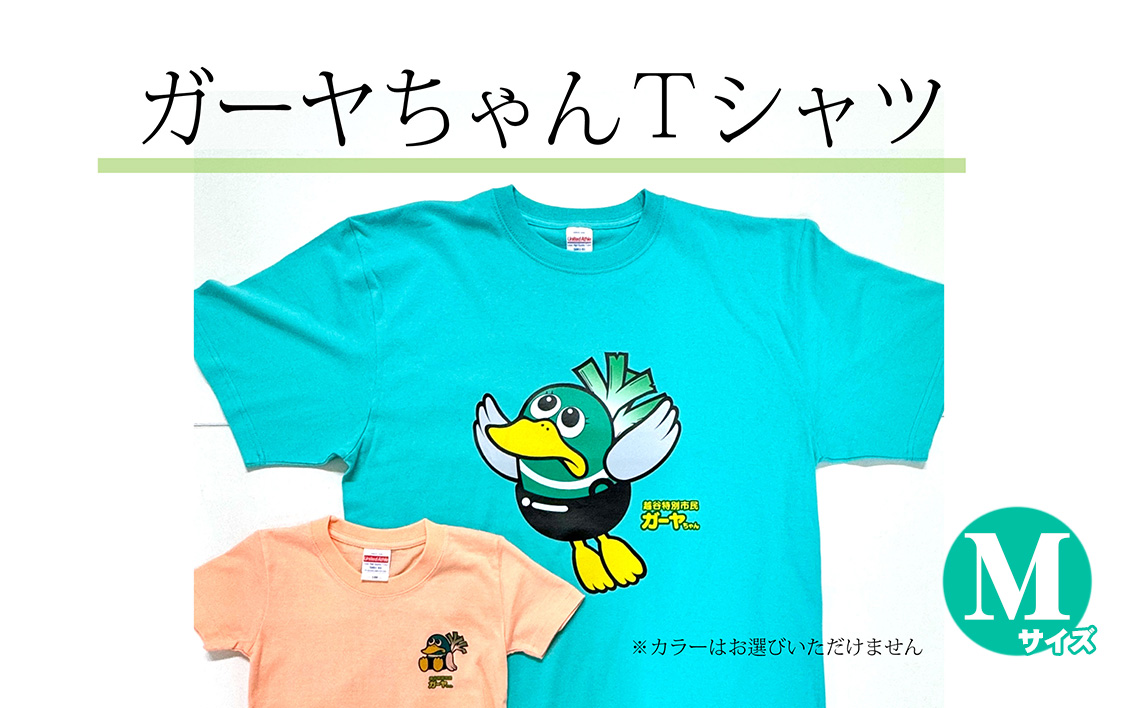 Mサイズ プリントTシャツ（越谷市ご当地キャラクター） ／ プリントTシャツ 綿Tシャツ キャラクターTシャツ ガーヤちゃん ご当地キャラ ワケあり 在庫活用 エコ商品 SDGs 配慮 カジュアル 普段着 部屋着 ユニセックス 埼玉県 No.339-02