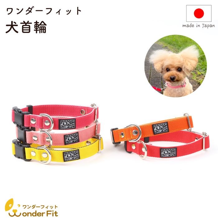 PP首輪 軽い 丈夫 装着 簡単 可愛い 水濡れOK 細かく調整可能 25−65g ／ 犬用 首輪 お散歩 丈夫 洗える 清潔 日本製 軽量 ペットグッズ ペット用品 おしゃれ 可愛い プレゼント 贈り物 てるべる 埼玉県 No.315