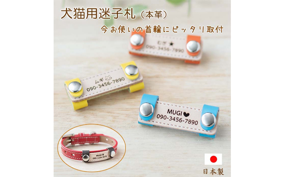 ãããçšãçè±åŒè¿·åæãããŒã ã¿ã°æ¬é©ïŒ2åã»ããïŒ ïŒ ç¬çš ç«çš éŠèŒª è¿·åæ ãããã°ã㺠ãããçšå ãã©ãã©ããªã ãŽã£ãããµã€ãº æç¬ æç« åå
¥ã ãªãŒããŒå é©è·äºº ãããã 坿ã ãã¬ãŒã³ã èŽãç© ãŠãã¹ã åŒçç No.019