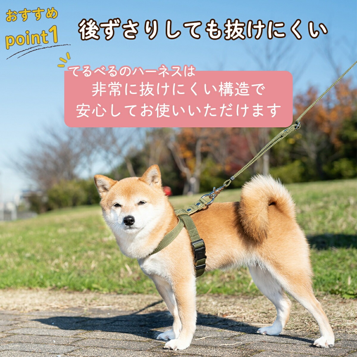 ããŒãã¹ æãã«ãã å«ãããªã ç°¡åè£
ç çè±ãããã 調æŽå¯èœ 34â100g ïŒ ç¬çš èŽèŒª ãæ£æ© å®å¿èšèš æããªã è±ããªã å€ããªã ã¯ã³ã¿ãã ç°¡åè£
ç ãããã°ã㺠ãããçšå ãããã 坿ã ãã¬ãŒã³ã èŽãç© ãŠãã¹ã åŒçç No.317