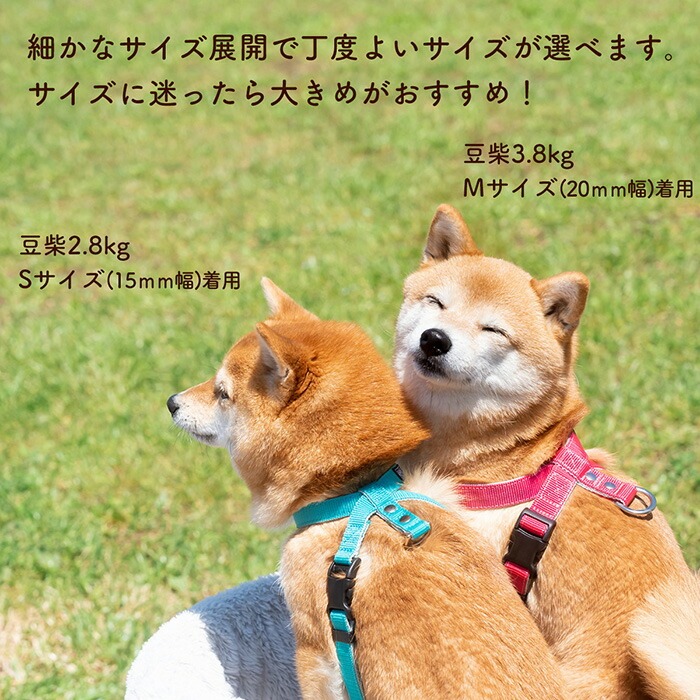 ããŒãã¹ æãã«ãã å«ãããªã ç°¡åè£
ç çè±ãããã 調æŽå¯èœ 34â100g ïŒ ç¬çš èŽèŒª ãæ£æ© å®å¿èšèš æããªã è±ããªã å€ããªã ã¯ã³ã¿ãã ç°¡åè£
ç ãããã°ã㺠ãããçšå ãããã 坿ã ãã¬ãŒã³ã èŽãç© ãŠãã¹ã åŒçç No.317