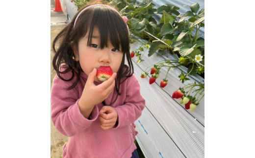 è¶è°·åžå
ãã¡ãç©ãæåŸ
åžïŒå€§äºº2ååïŒ ïŒ ãã¡ã ã€ããŽ èº ãã¡ãç©ã ã€ããŽç©ã èºç©ã ãã±ãã å©çšåž äœéš 芳å
æ
è¡ å®¶æ ããŒã ãã«ãŒã æç© æ°é®® è¶è°·ç£ 芳å
蟲å ã¢ã¯ã»ã¹è¯ éœå¿è¿ãåŒçç No.150