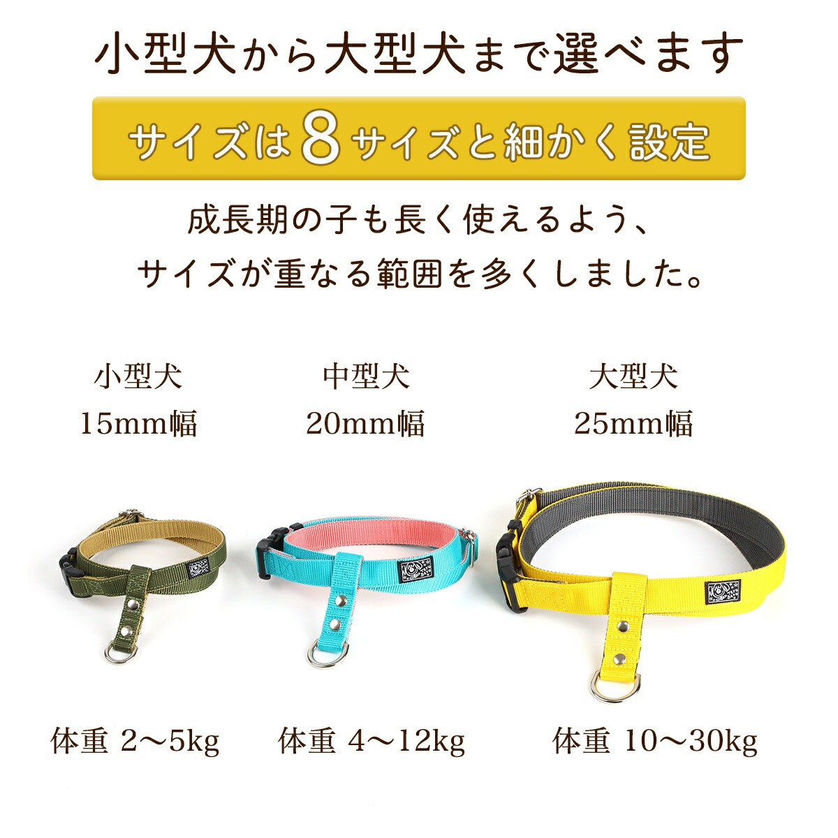 ããŒãã¹ æãã«ãã å«ãããªã ç°¡åè£
ç çè±ãããã 調æŽå¯èœ 34â100g ïŒ ç¬çš èŽèŒª ãæ£æ© å®å¿èšèš æããªã è±ããªã å€ããªã ã¯ã³ã¿ãã ç°¡åè£
ç ãããã°ã㺠ãããçšå ãããã 坿ã ãã¬ãŒã³ã èŽãç© ãŠãã¹ã åŒçç No.317