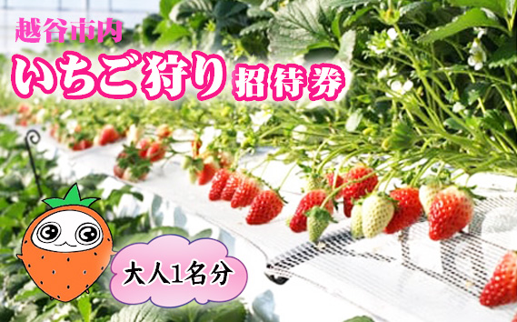 越谷市内いちご狩り招待券（大人1名分） ／ いちご イチゴ 苺 いちご狩り イチゴ狩り 苺狩り チケット 利用券 体験 観光 旅行 家族 デート フルーツ 果物 新鮮 越谷産 観光農園 アクセス良 都心近く埼玉県 No.149