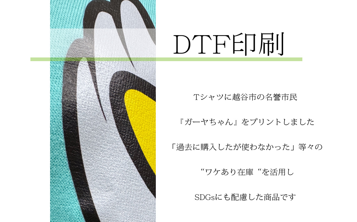 LLサイズ プリントTシャツ（越谷市ご当地キャラクター） ／ プリントTシャツ 綿Tシャツ キャラクターTシャツ ガーヤちゃん ご当地キャラ ワケあり 在庫活用 エコ商品 SDGs 配慮 カジュアル 普段着 部屋着 ユニセックス 埼玉県 No.339-04