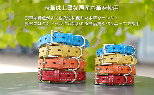犬首輪　本革製　ペット用品　小型犬　中型犬　犬用品　犬グッズ　犬用首輪　日本製 ／ 本革 国産人工皮革 ベルエース 耐久性 革職人 愛犬 てるべる 埼玉県 No.015
