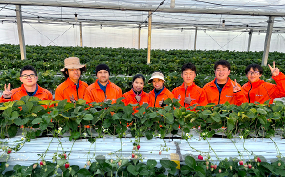 ãæ¬ã®è¶è°·ãã¡ããé£ã¹æ¯ã¹ã»ããã550g ïŒ ã€ããŽ èº æç© ãã«ãŒã åŒçç ç¹ç£å No.151