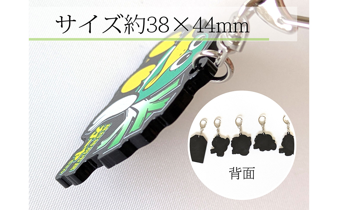 キーホルダー（越谷市ご当地キャラクター）アソートセット ／ キーホルダー アクリルキーホルダー キャラクターキーホルダー ガーヤちゃん ご当地キャラ セット商品 5個セット アソート デザイン違い まとめ買い バッグ小物 鍵用 プチギフト プレゼント 埼玉県 No.340