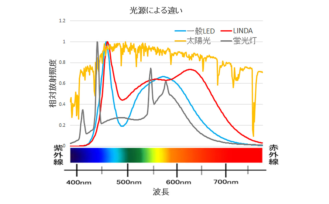 自然光の美顔ライト　LINDA ／ セリック リンダ メイク 化粧 持ち歩き 小型ライト ミニライト 軽量 充電可能 埼玉県 No.285