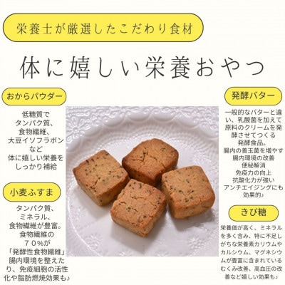 グルテンフリー発酵バタークッキー缶【高カカオチョコ】【配送不可地域：離島】【1501494】