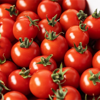 蜈・髢灘クら肇螳檎溘Α繝九ヨ繝槭ヨ縲悟鴻譫(縺。縺)縲2kg縲宣埼∽ク榊庄蝨ー蝓滂シ夐屬蟲カ縲代1491951縲