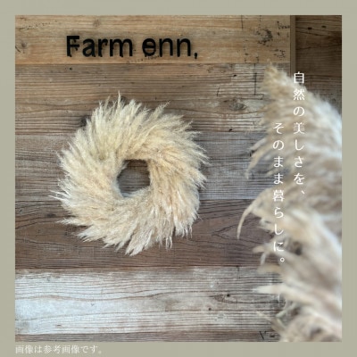 【ユーカリ農家が育てた】パンパスグラスのナチュラルリース　ドライフラワー【1670619】