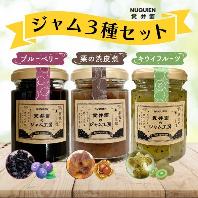 【毎月定期便】貫井園のジャム3種セット　各110g入り 全6回【4085371】