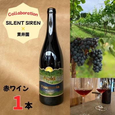 SILENT SIREN　×　貫井園　コラボレーション　赤ワイン　1本　限定100本生産【1719434】